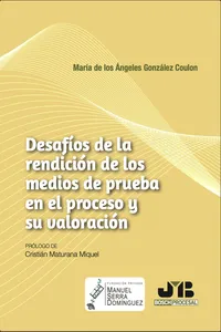 Desafíos de la rendición de los medios de prueba en el proceso y su valoración