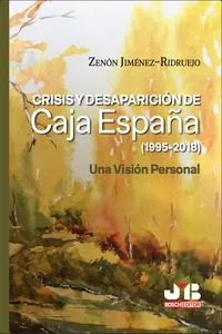 Crisis y Desaparición de Caja España