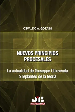 Nuevos principios procesales