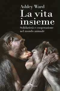 La vita insieme