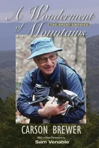 A Wonderment Of Mountains_cover