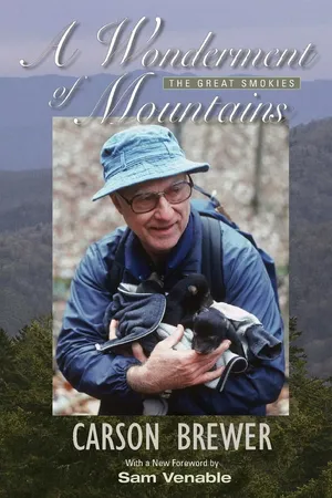 A Wonderment Of Mountains