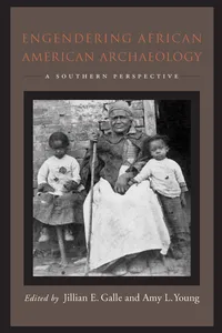 Engendering African American Archaeology_cover