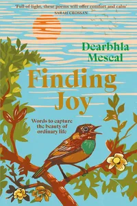 Finding Joy_cover