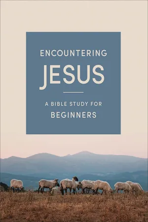 Encountering Jesus