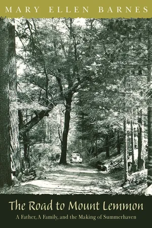 The Road to Mount Lemmon