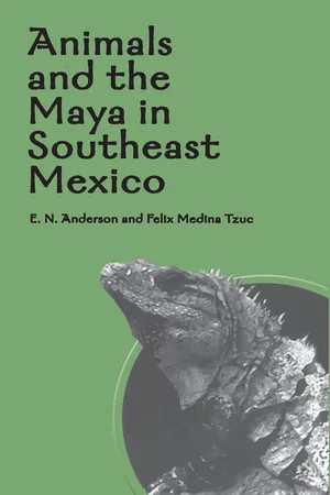 Animals and the Maya in Southeast Mexico