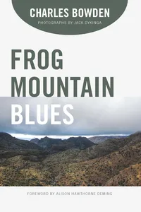 Frog Mountain Blues_cover