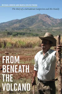 From Beneath the Volcano_cover