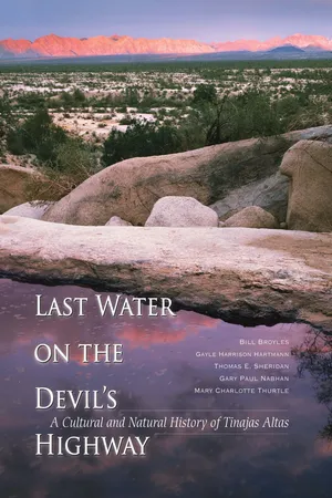 Last Water on the Devil's Highway