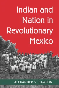 Indian and Nation in Revolutionary Mexico_cover