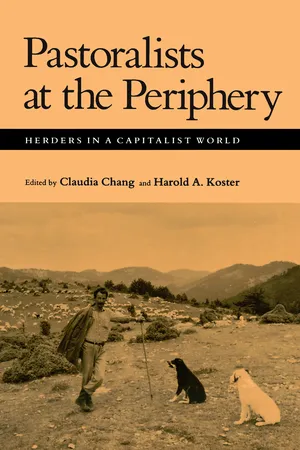Pastoralists at the Periphery