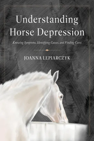 Understanding Horse Depression