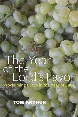 Year of the Lord's Favor