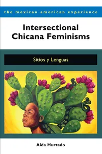 Intersectional Chicana Feminisms_cover