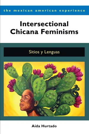 Intersectional Chicana Feminisms