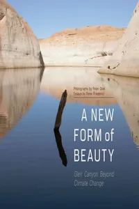 A New Form of Beauty_cover