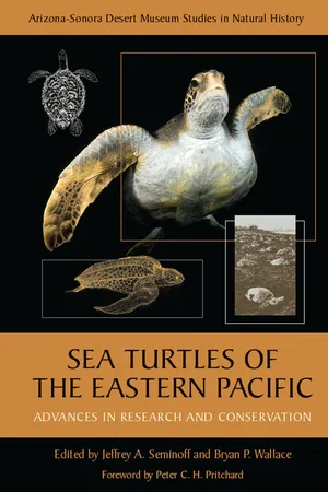 Sea Turtles of the Eastern Pacific