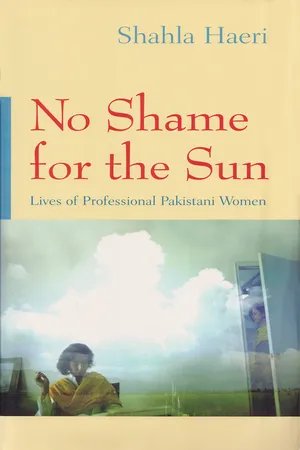 No Shame for the Sun