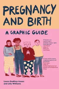 Pregnancy and Birth: A Graphic Guide_cover