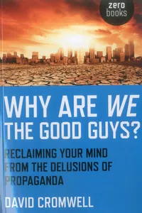 Why Are We The Good Guys?_cover