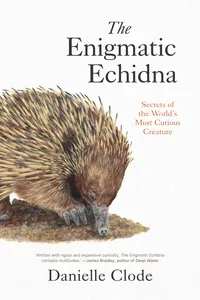 The Enigmatic Echidna_cover