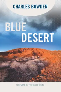 Blue Desert_cover