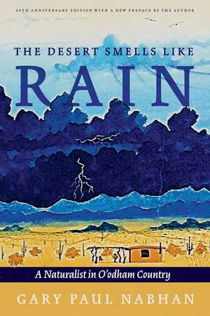 The Desert Smells Like Rain