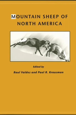 Mountain Sheep of North America