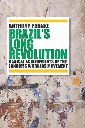 Brazil's Long Revolution