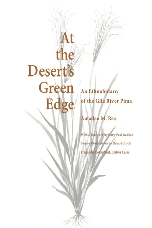 At the Desert's Green Edge