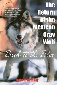 The Return of the Mexican Gray Wolf_cover