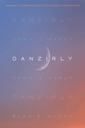 Danzirly