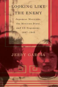 Looking Like the Enemy_cover