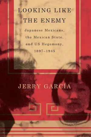 Looking Like the Enemy