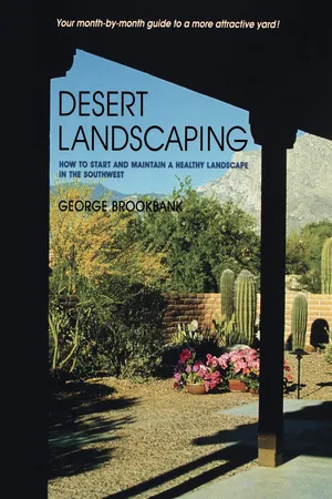 Desert Landscaping