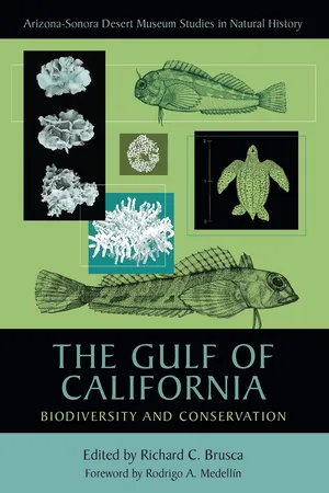 The Gulf of California