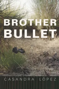 Brother Bullet_cover