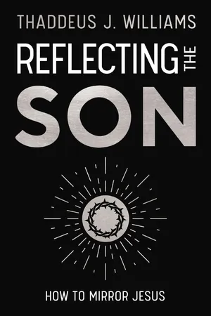 Reflecting the Son