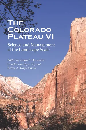 The Colorado Plateau VI