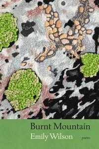 Burnt Mountain_cover