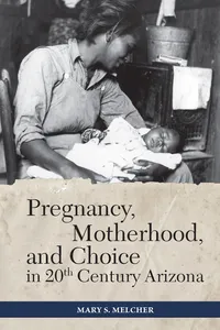 Pregnancy, Motherhood, and Choice in Twentieth-Century Arizona_cover