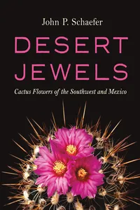 Desert Jewels_cover