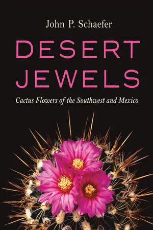 Desert Jewels