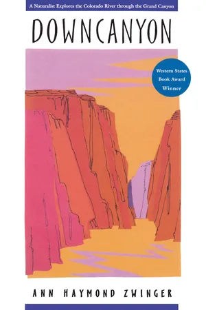 Downcanyon