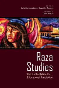Raza Studies_cover