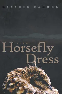 Horsefly Dress_cover