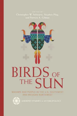 Birds of the Sun