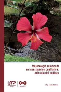 Metodología relacional en investigación cualitativa: más allá del análisis