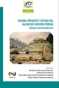 Pasado, presente y futuro del Salado de Consotá Pereira